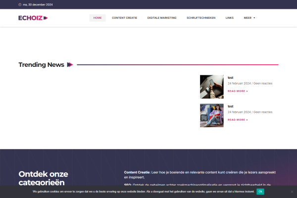 blogadvies.nl - Sponsored content (incl. content)
